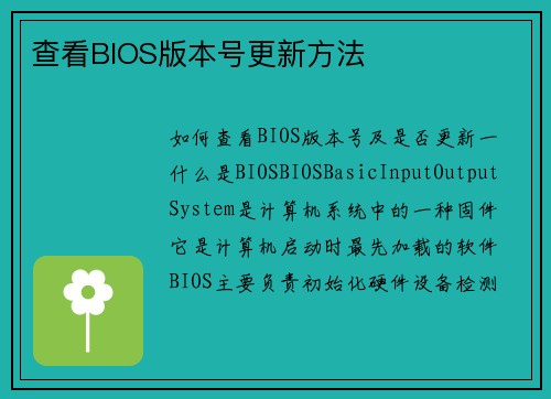 查看BIOS版本号更新方法